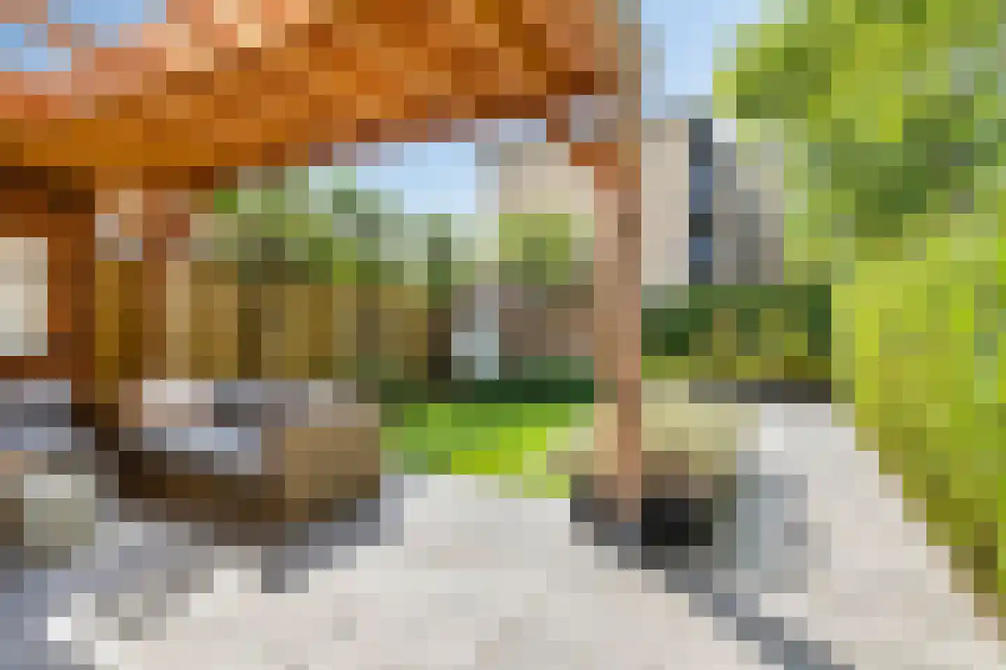 Vogelweide 1 Gemert thumbnail 31