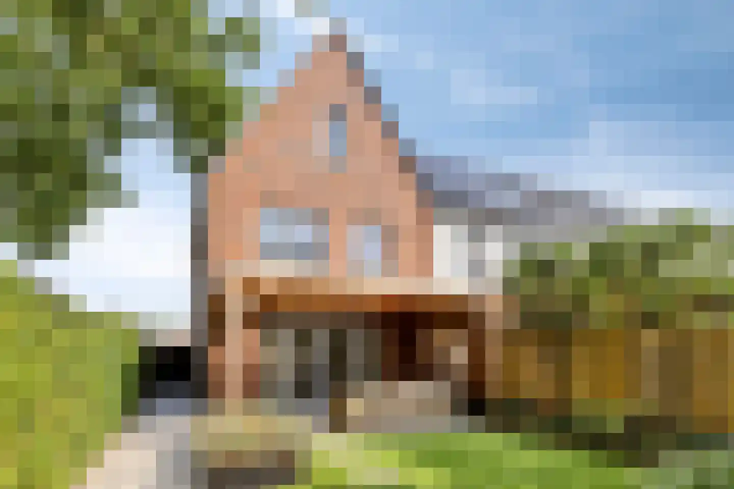 Vogelweide 1 Gemert thumbnail 33
