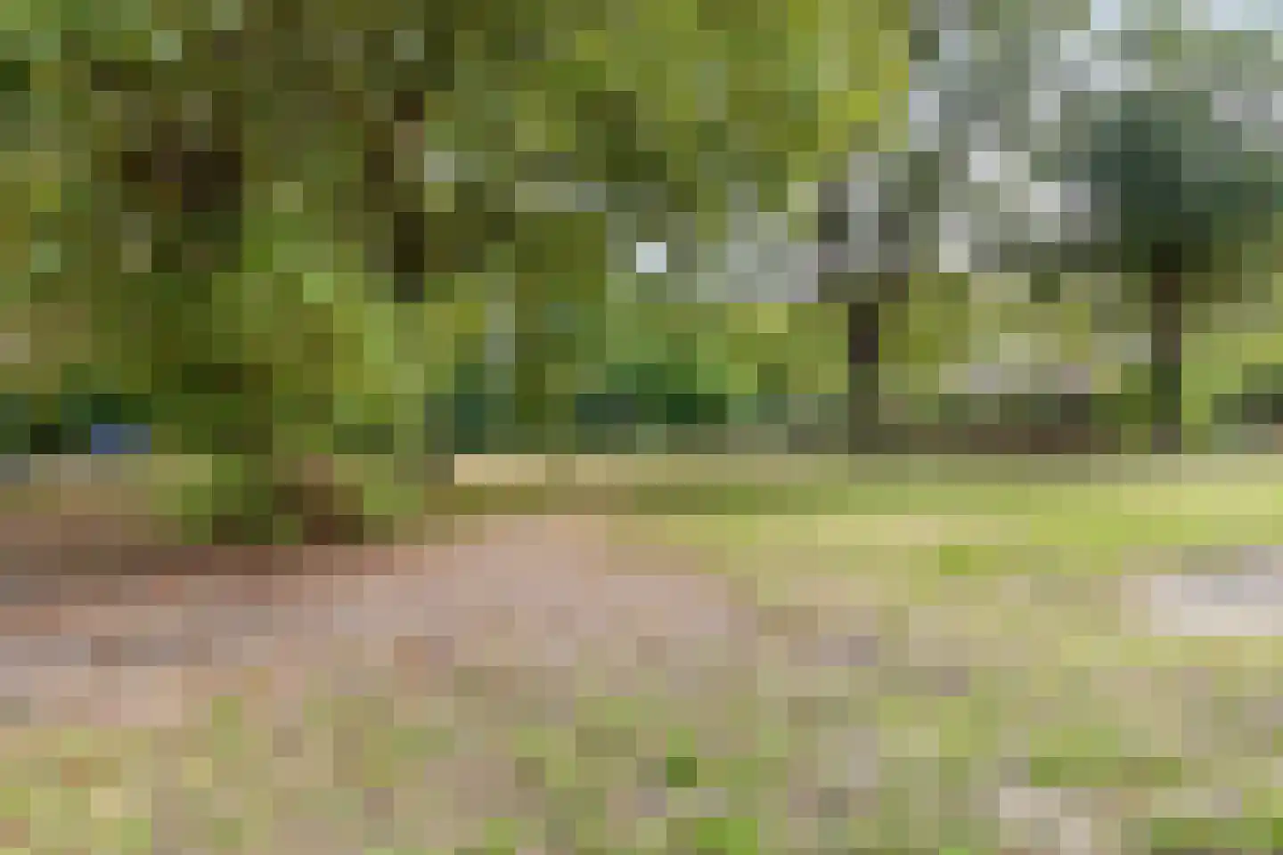 Vogelweide 1 Gemert thumbnail 37