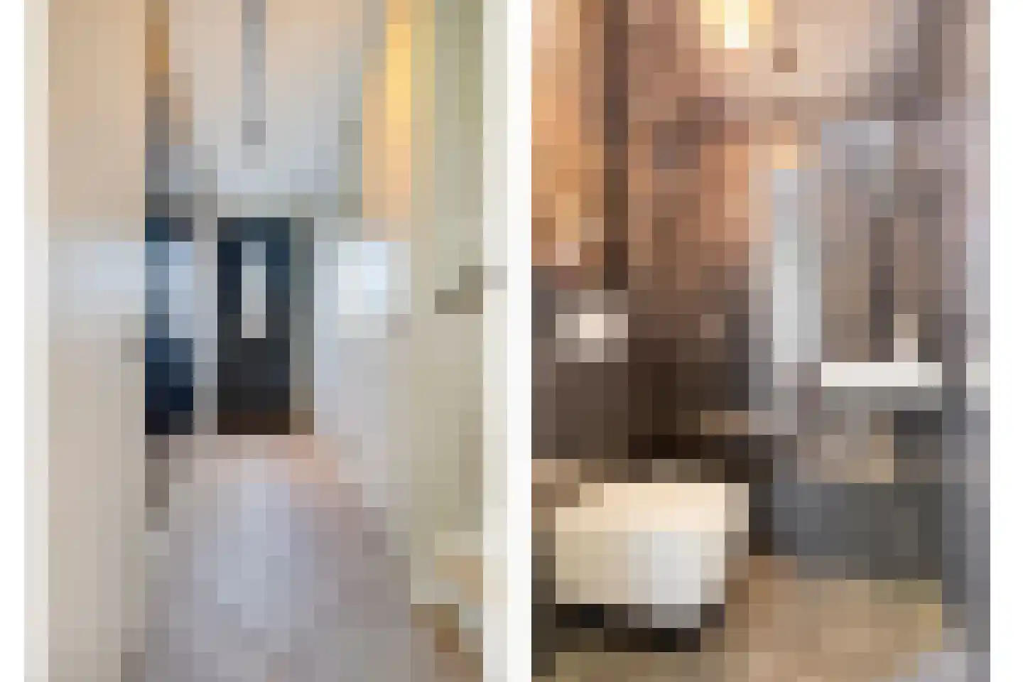 Vogelweide 1 Gemert thumbnail 7