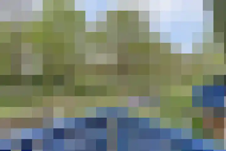 Vogelweide 107 a Doorn thumbnail 15