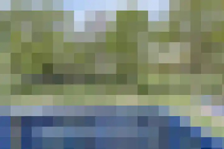 Vogelweide 107 a Doorn thumbnail 16