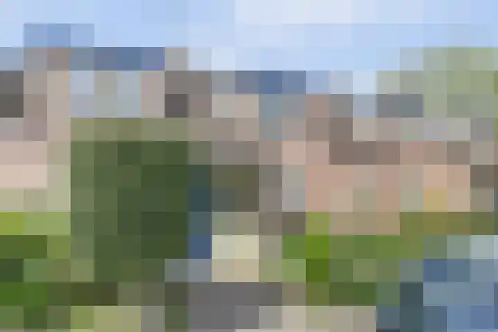 Vogelweide 107 a Doorn thumbnail 25