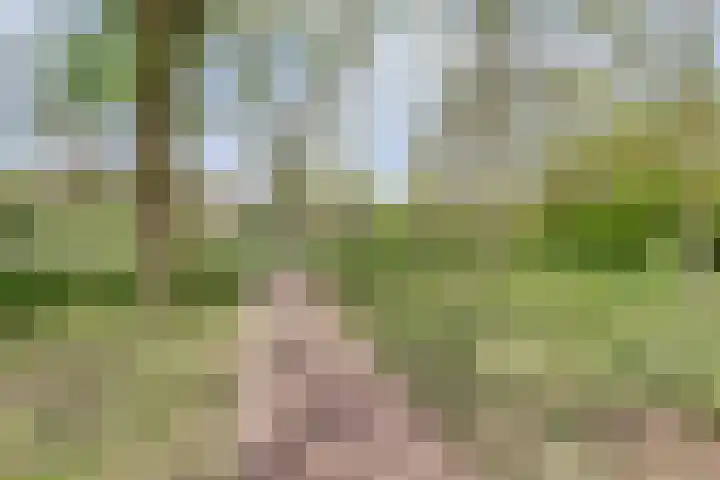 Vogelweide 107 a Doorn thumbnail 27