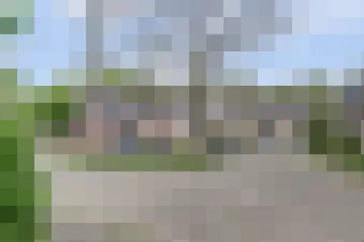 Vogelweide 107 a Doorn thumbnail 28