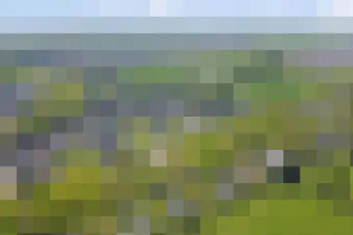 Vogelweide 107 a Doorn thumbnail 31