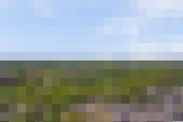 Vogelweide 107 a Doorn thumbnail 32