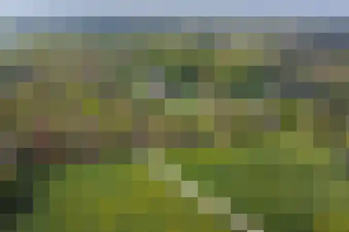 Vogelweide 107 a Doorn thumbnail 33