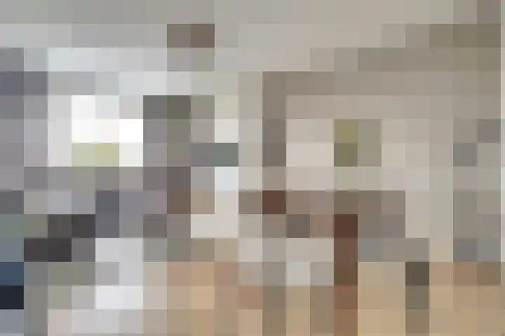 Vogelweide 16 Gemert thumbnail 15