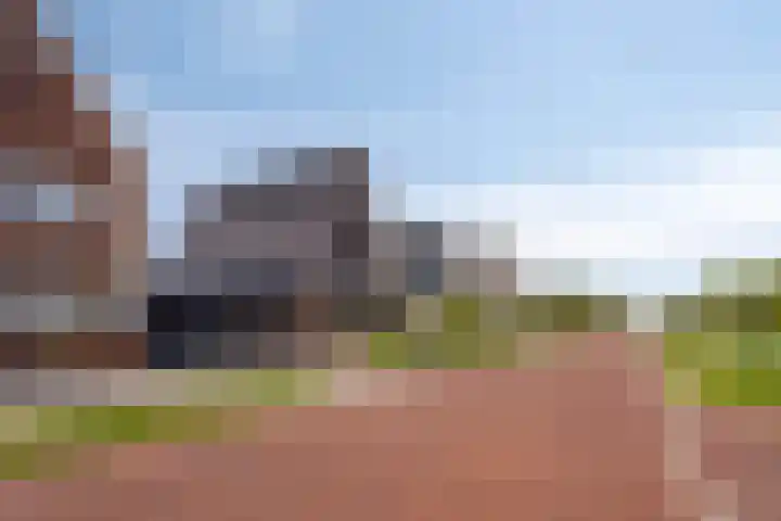 Vogelweide 16 Gemert thumbnail 23