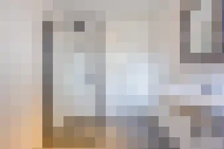 Vogelweide 16 Gemert thumbnail 25