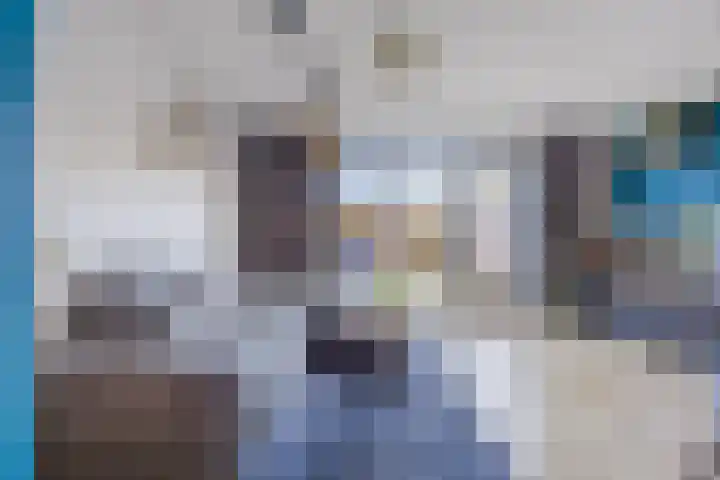 Vogelweide 16 Gemert foto 3