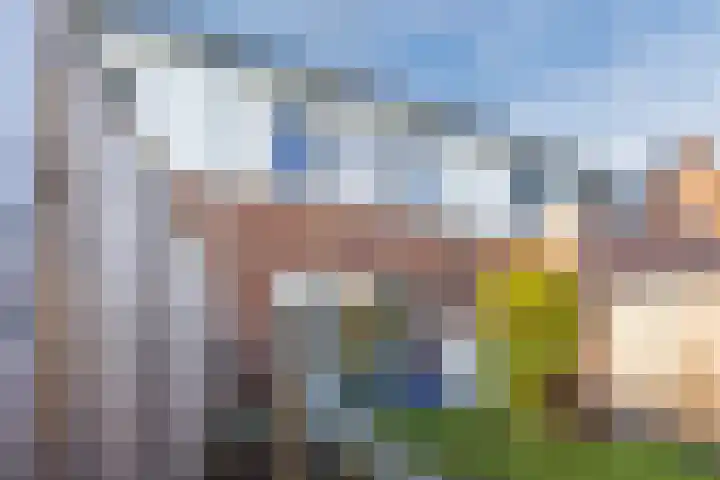 Vogelweide 16 Gemert thumbnail 32