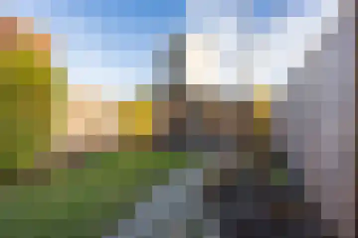 Vogelweide 16 Gemert thumbnail 33