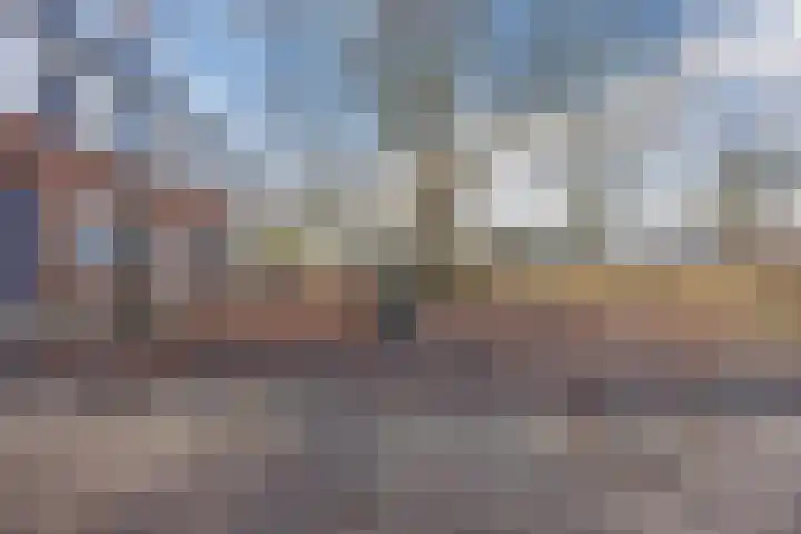 Vogelweide 16 Gemert thumbnail 38