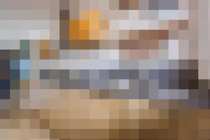 Vogelweide 16 Gemert thumbnail 4