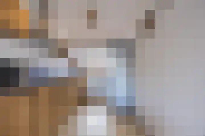 Vogelweide 16 Gemert thumbnail 9