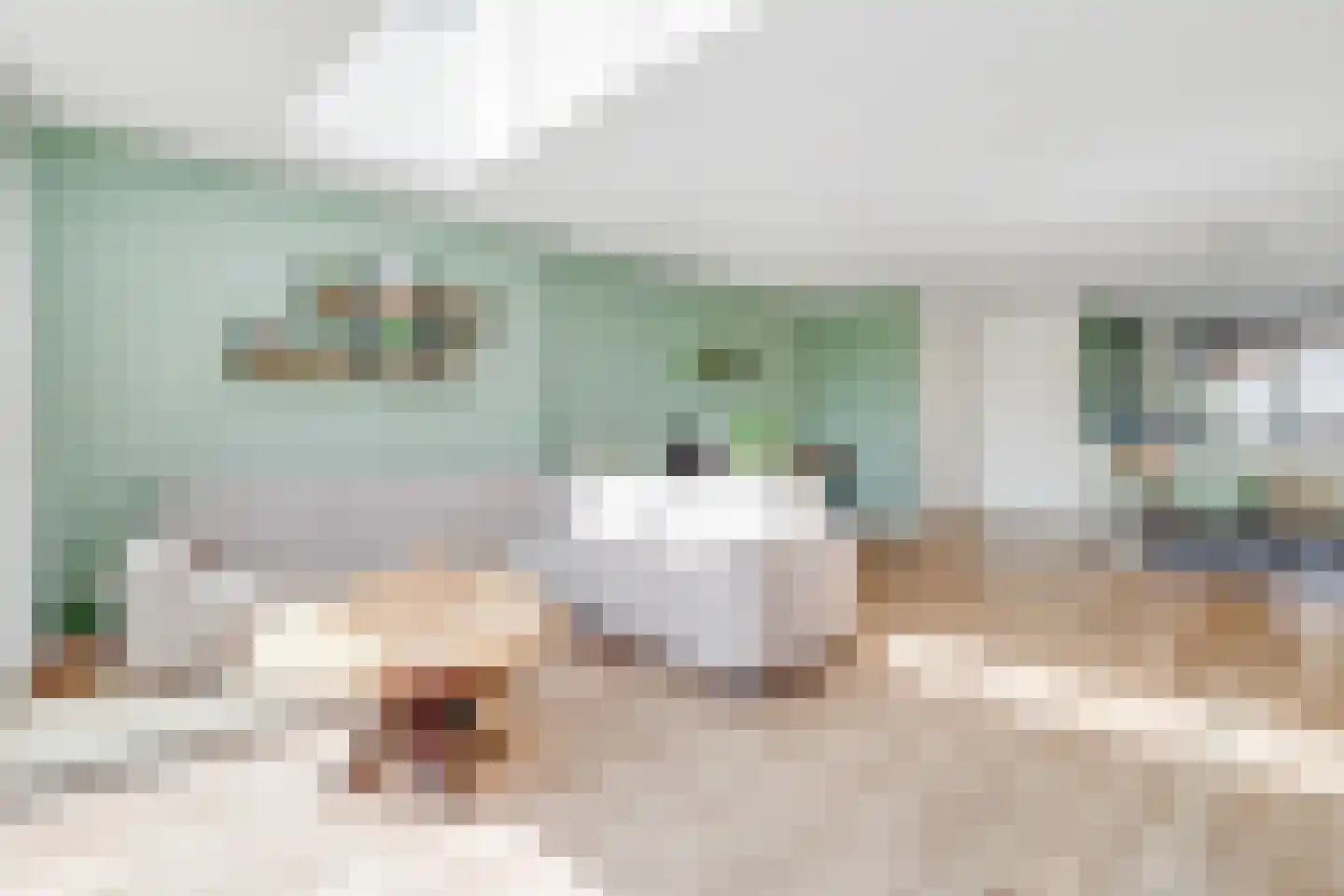 Vogelweide 93 Doorn thumbnail 18