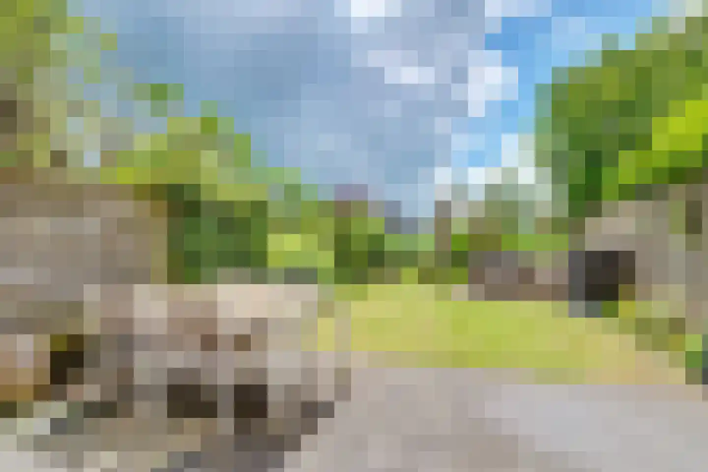 Vogelweide 93 Doorn thumbnail 45