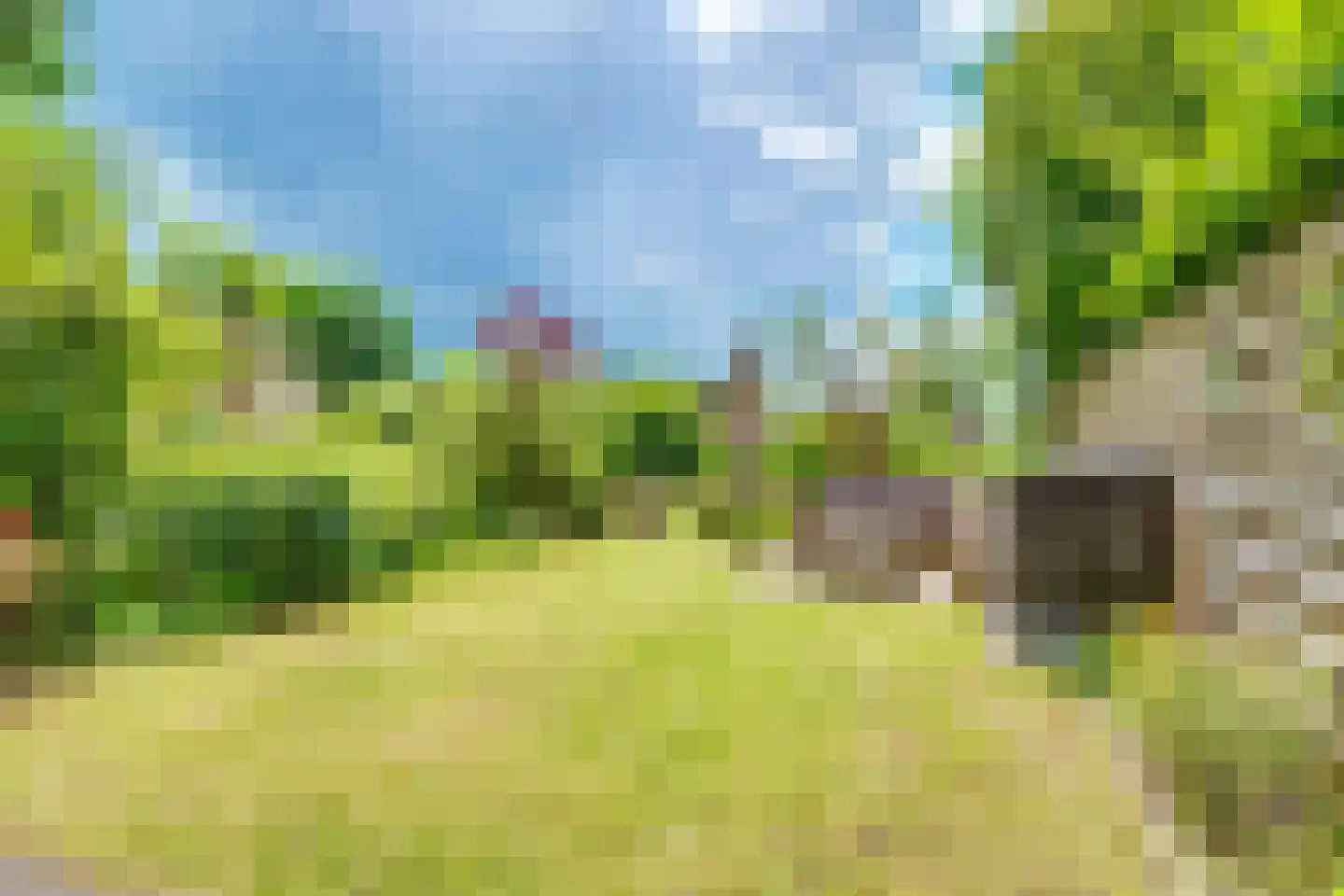 Vogelweide 93 Doorn thumbnail 46