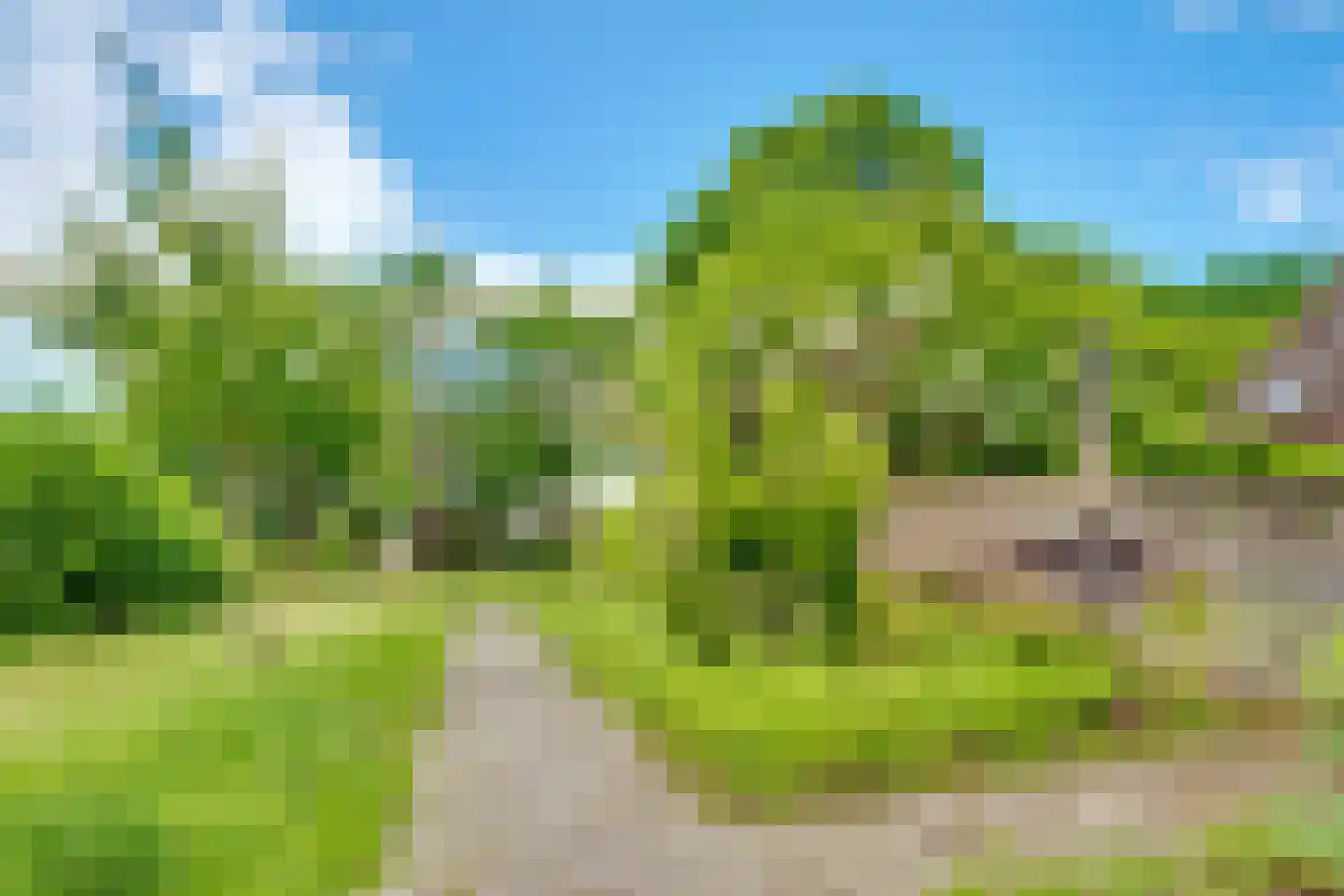 Vogelweide 93 Doorn thumbnail 49