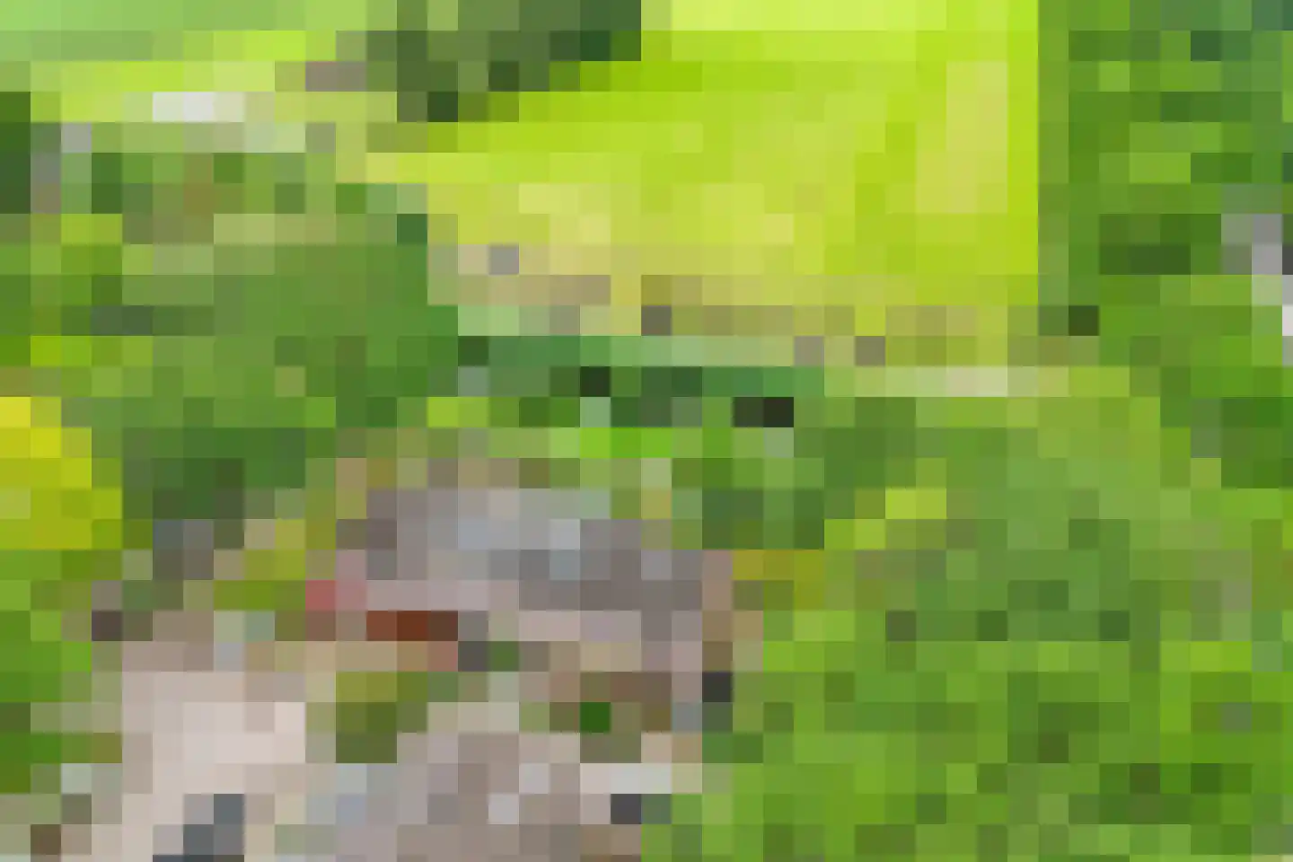 Vogelweide 93 Doorn thumbnail 5
