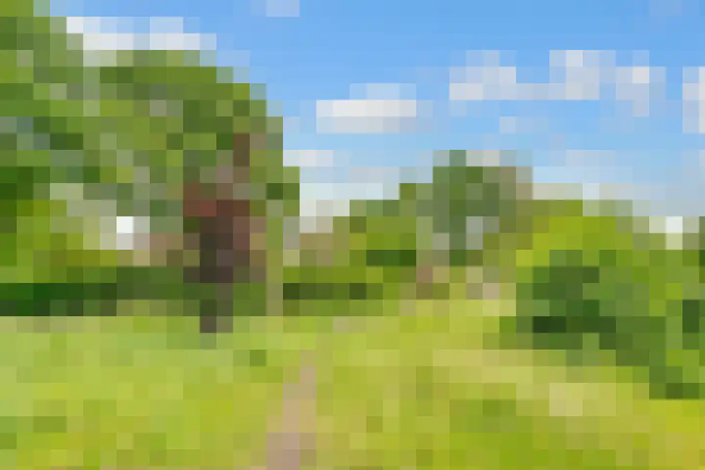 Vogelweide 93 Doorn thumbnail 50