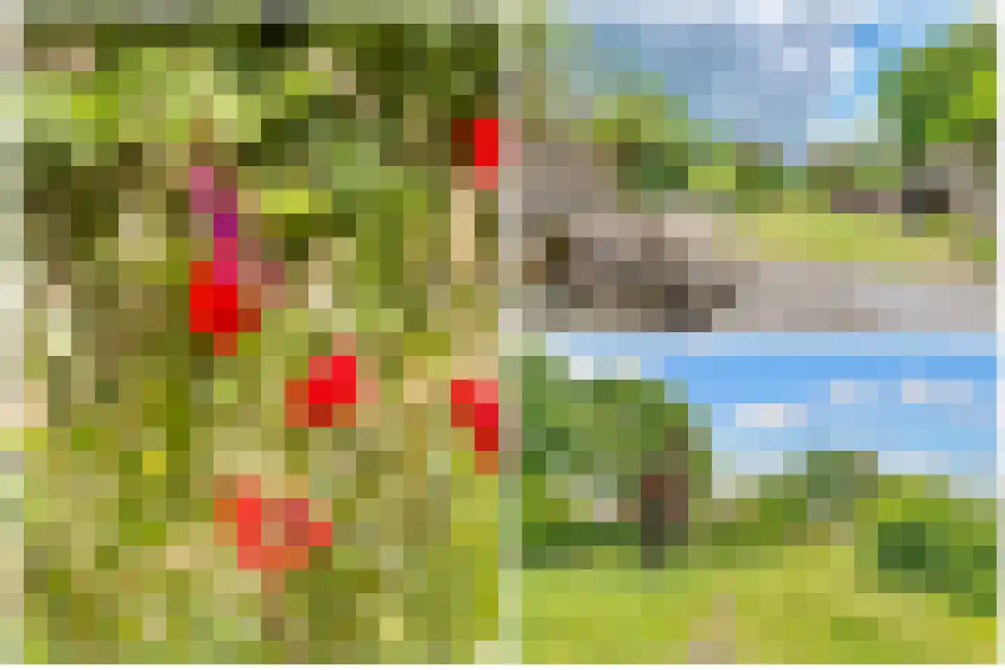Vogelweide 93 Doorn thumbnail 51