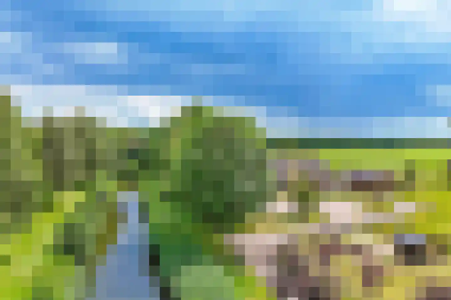 Vogelweide 93 Doorn thumbnail 52