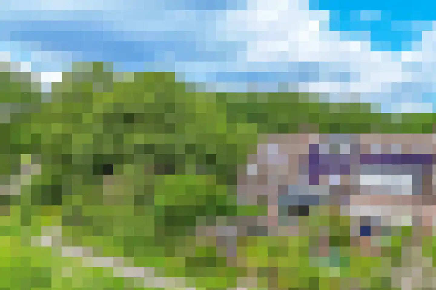 Vogelweide 93 Doorn thumbnail 53