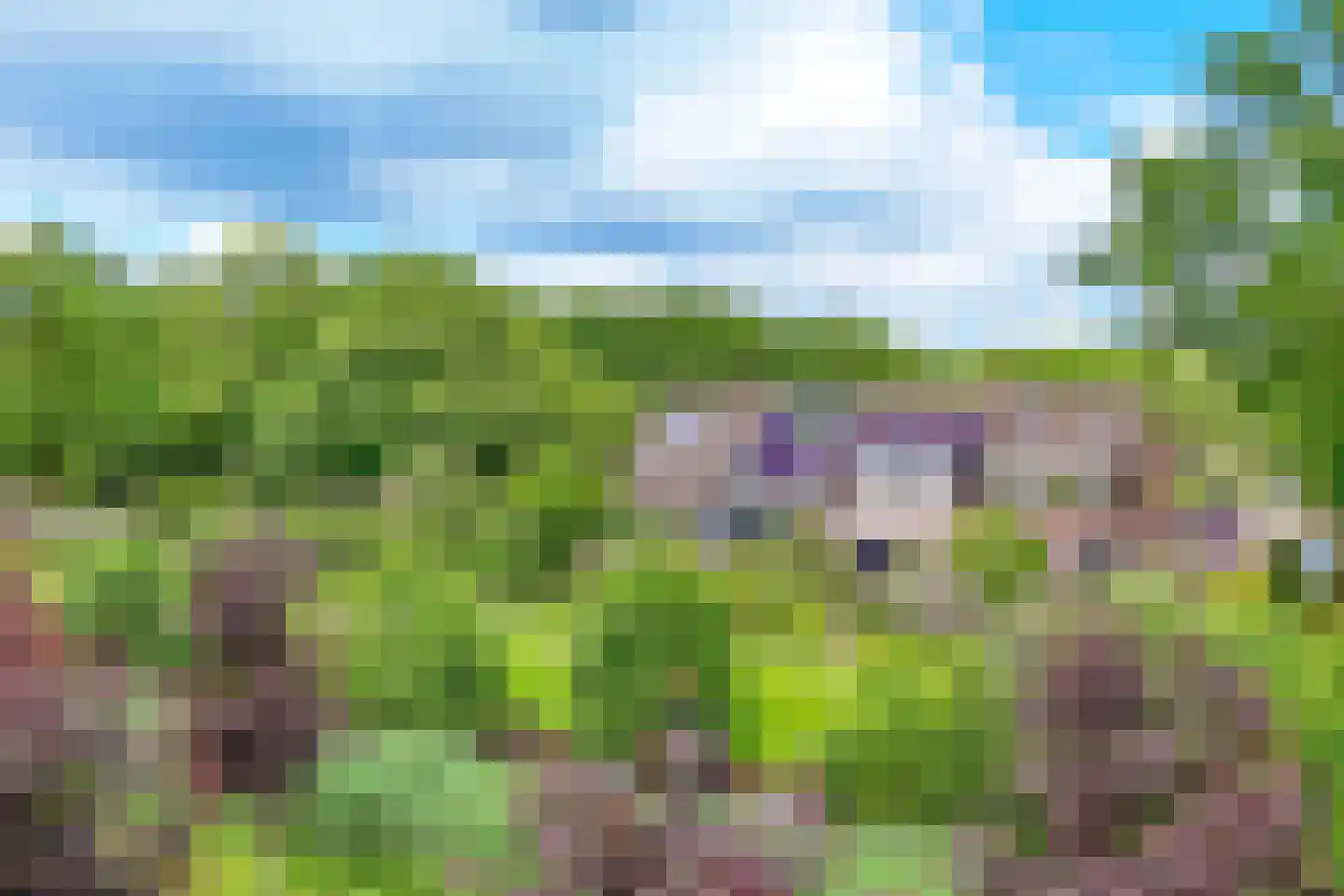 Vogelweide 93 Doorn thumbnail 54