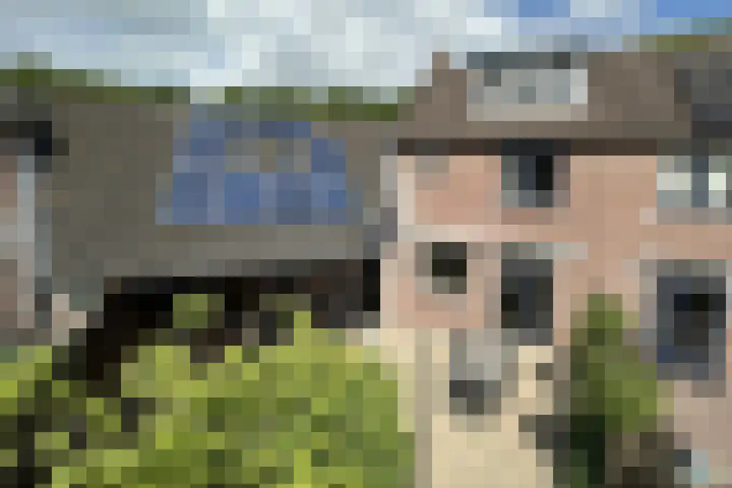 Vogelweide 94 Doorn thumbnail 42