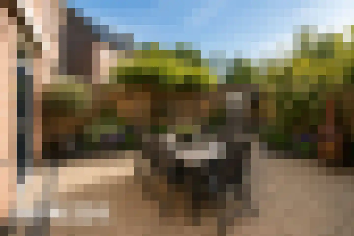 Vogelweide 94 Doorn thumbnail 45