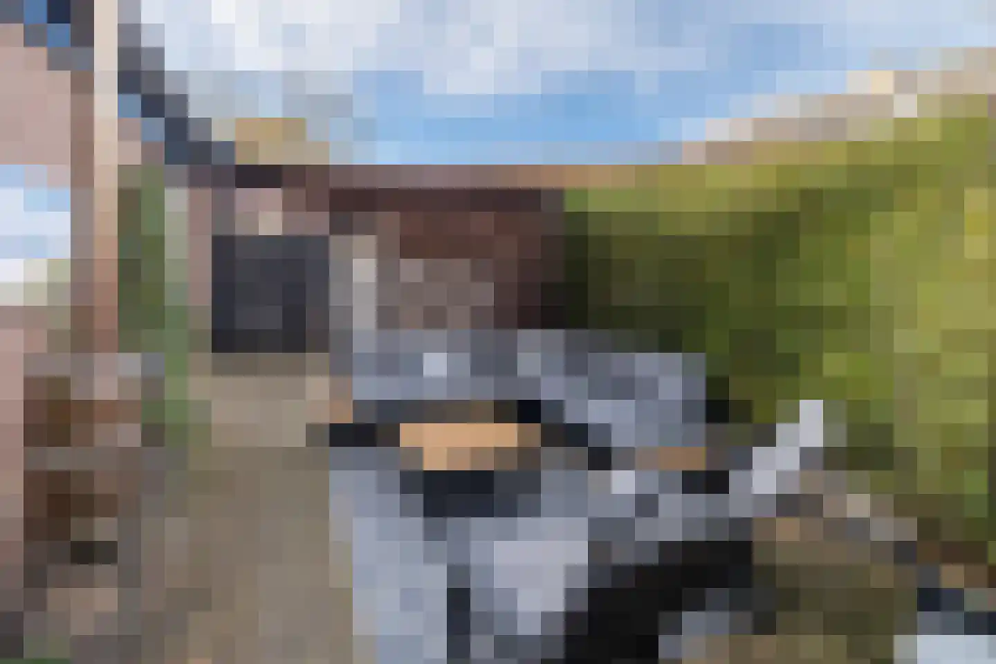 Vogelweide 94 Doorn thumbnail 47