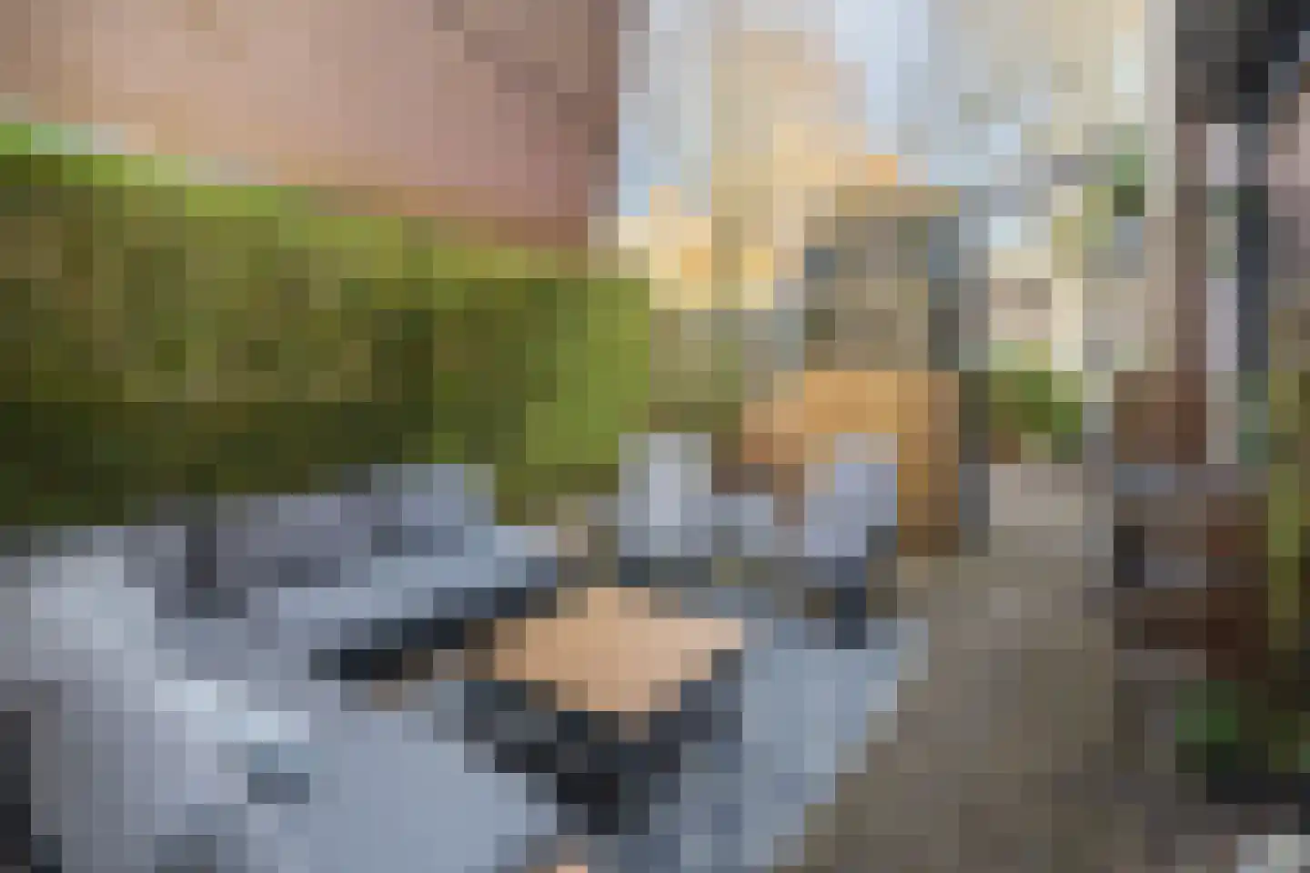 Vogelweide 94 Doorn thumbnail 48