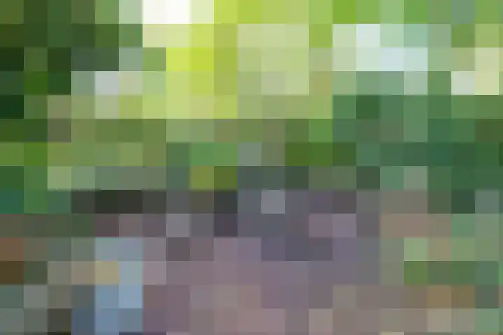 Vogelweide 95 Doorn thumbnail 33
