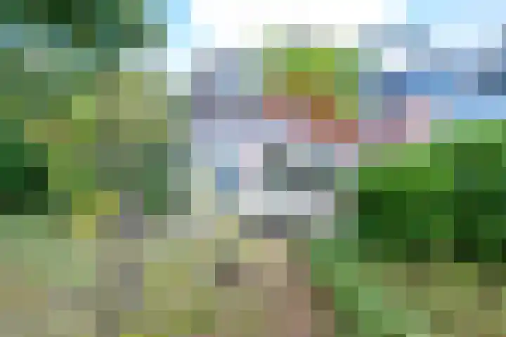 Vogelweide 95 Doorn thumbnail 35