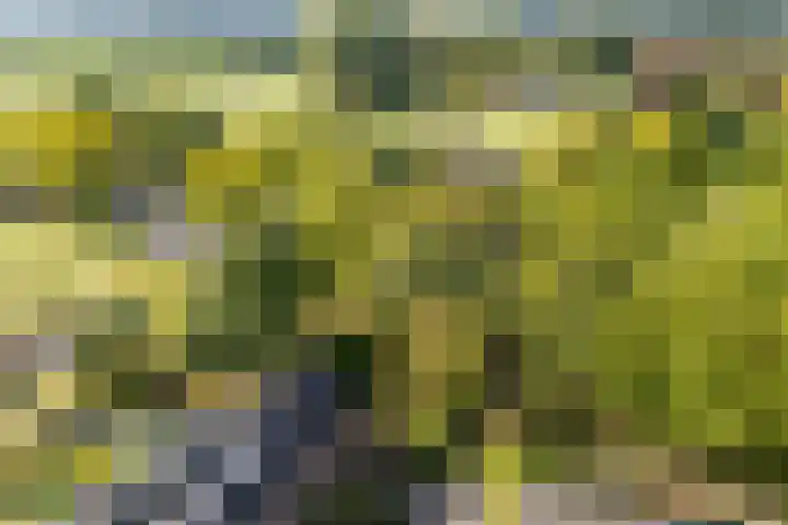 Vogelweide 95 Doorn thumbnail 37