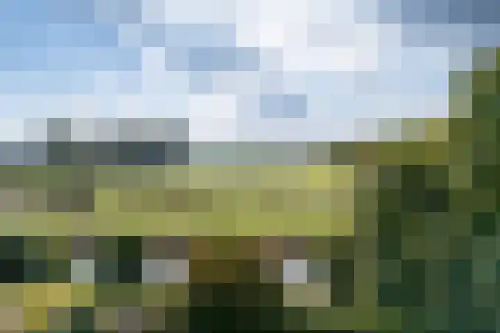 Vogelweide 95 Doorn thumbnail 38