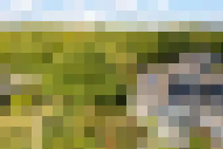 Vogelweide 95 Doorn thumbnail 40