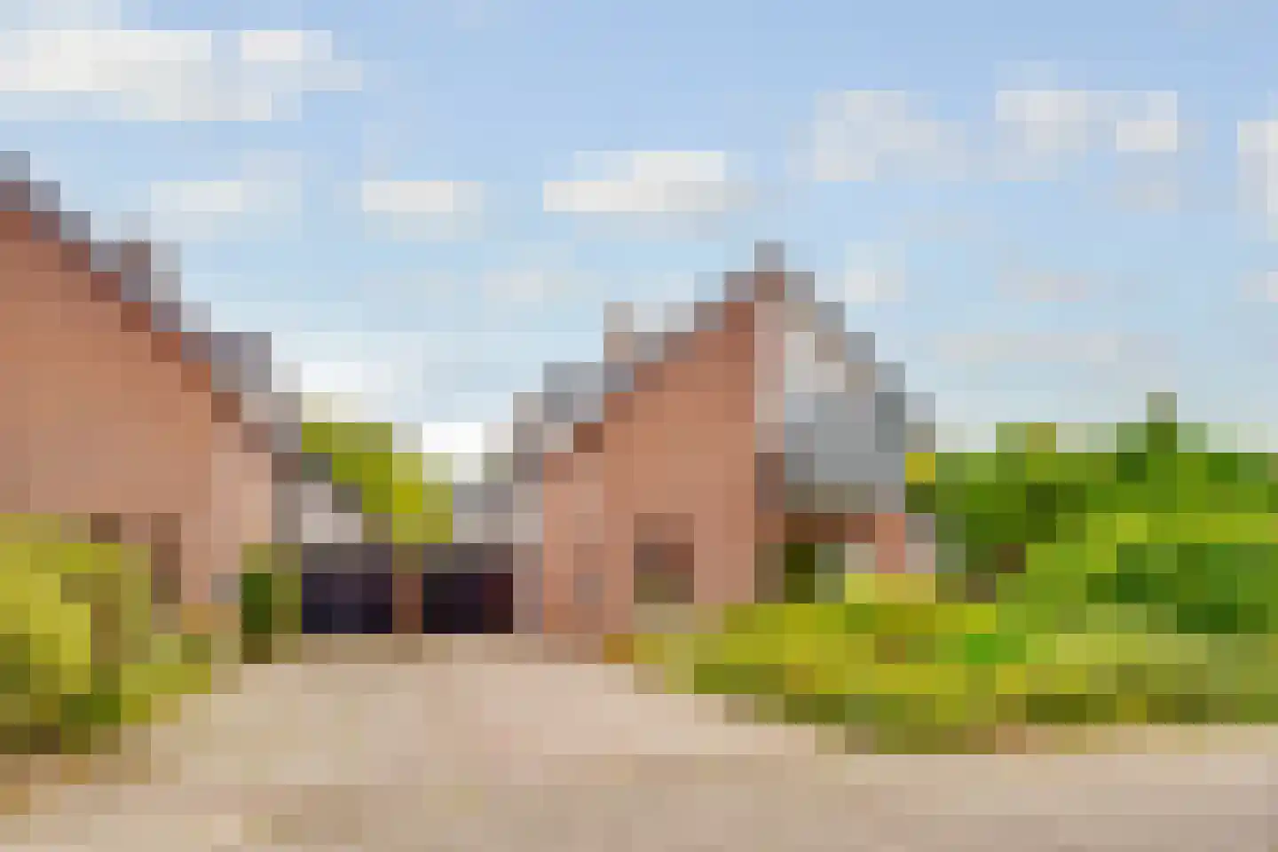 Vogelwikke 1 in Maartensdijk