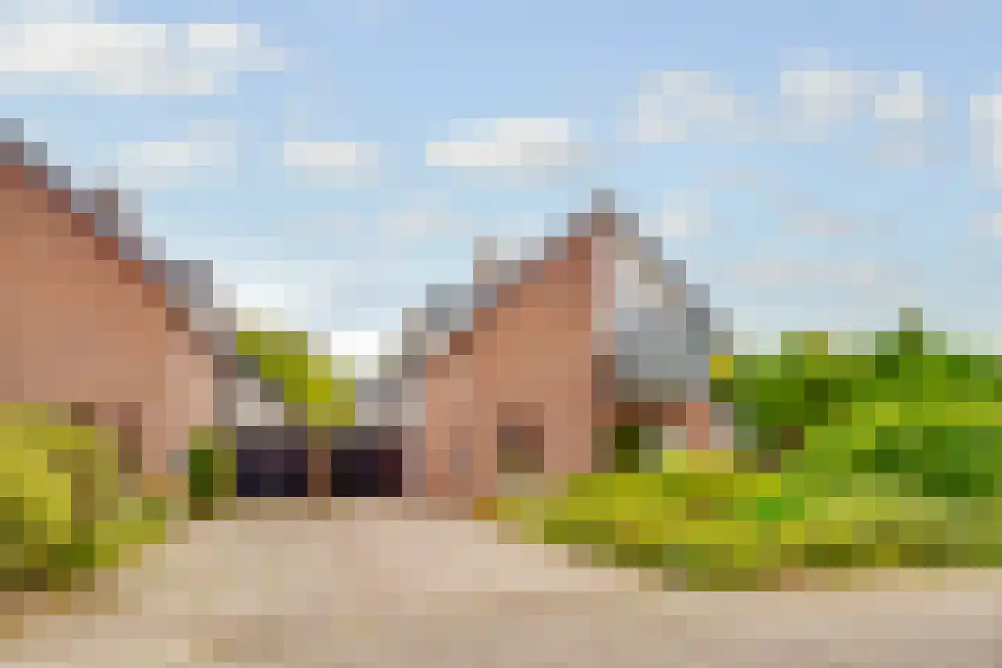 Vogelwikke 1 in Maartensdijk