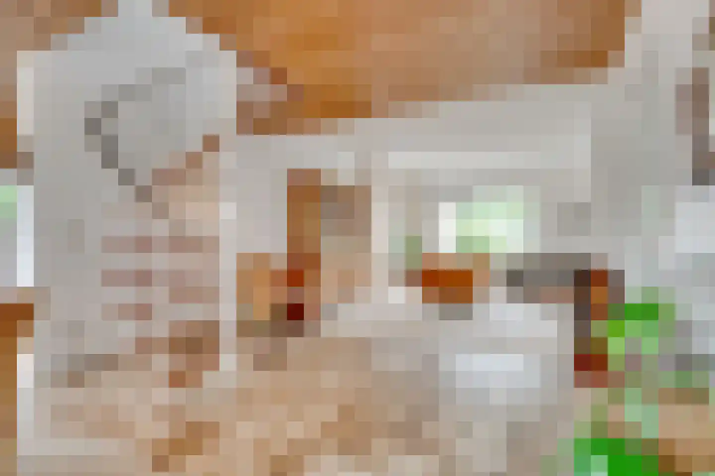 Vogelwikke 1 Maartensdijk thumbnail 11