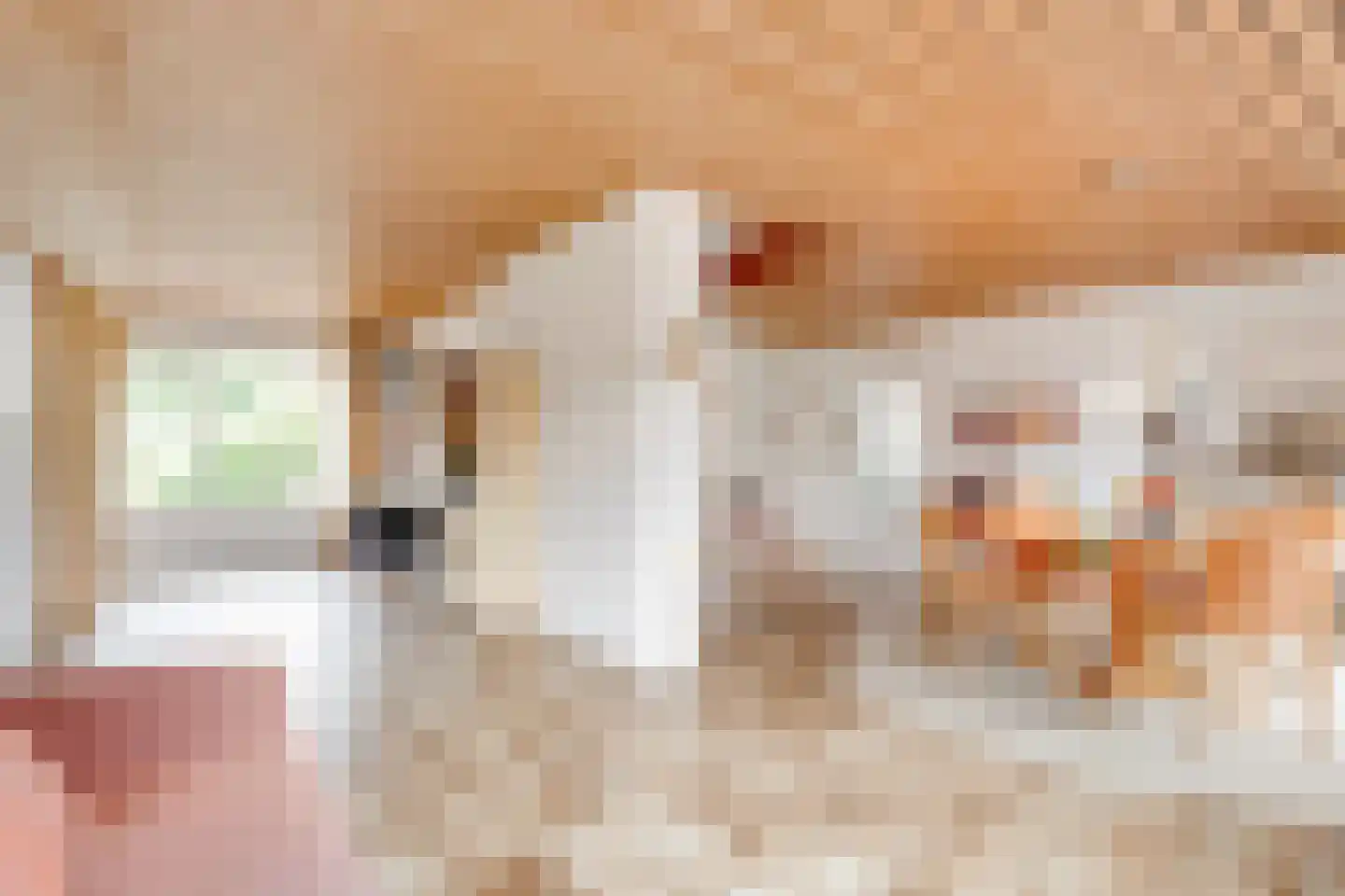 Vogelwikke 1 Maartensdijk thumbnail 14