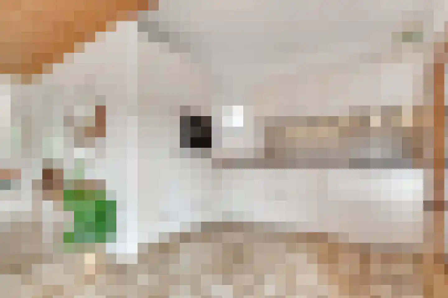 Vogelwikke 1 Maartensdijk thumbnail 17