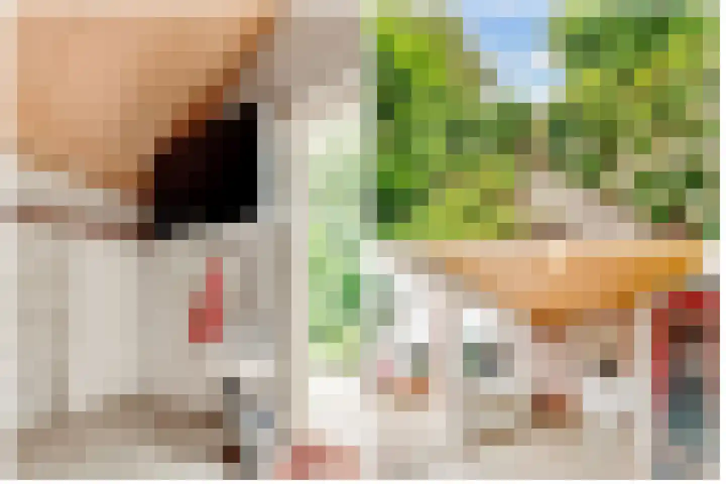 Vogelwikke 1 Maartensdijk thumbnail 20