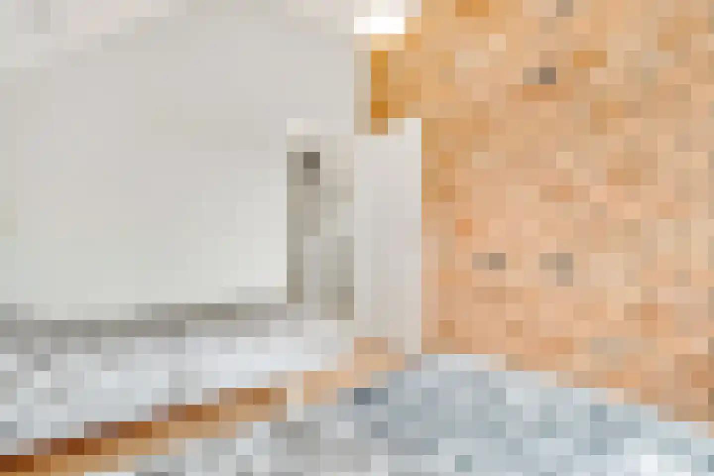 Vogelwikke 1 Maartensdijk thumbnail 30