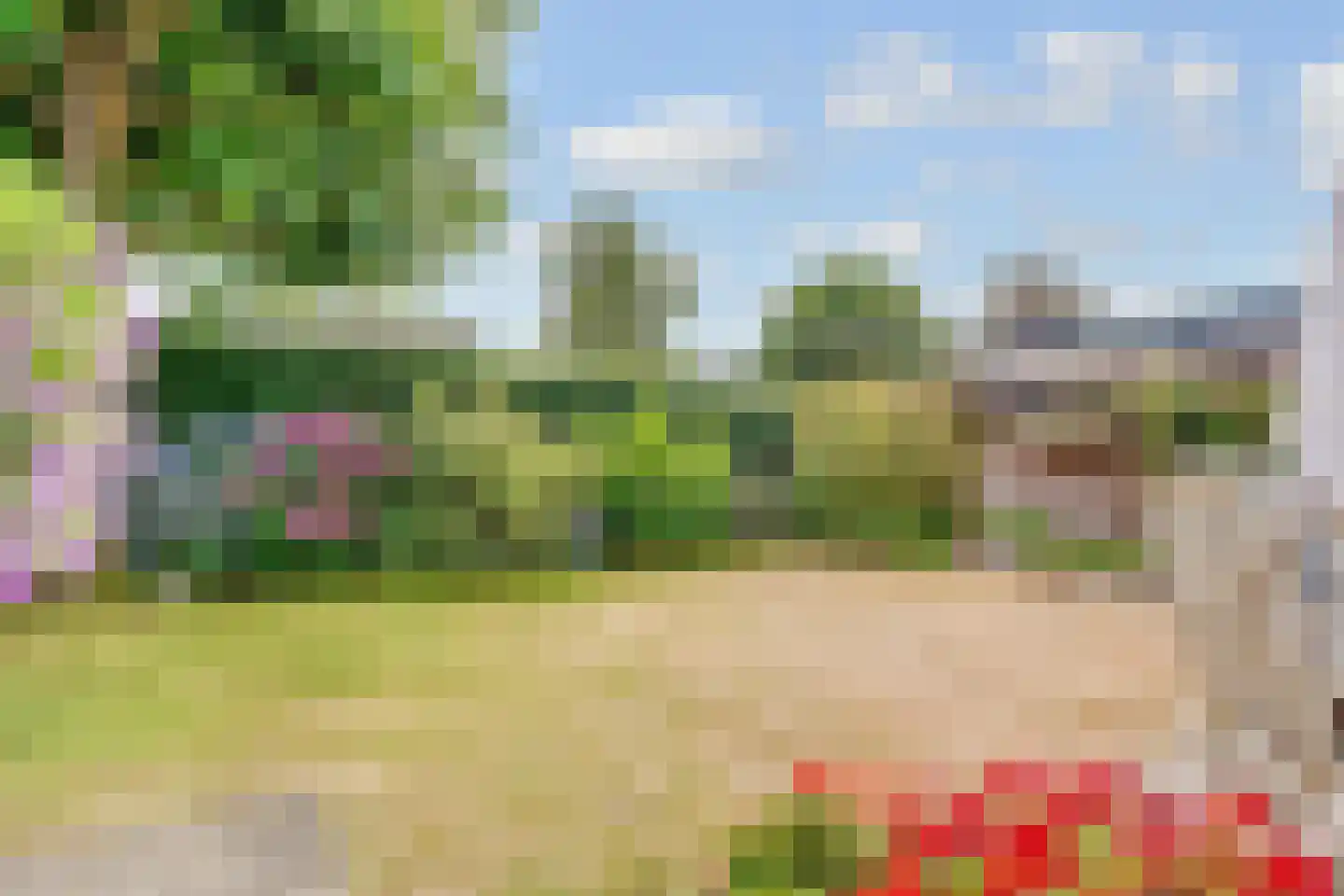 Vogelwikke 1 Maartensdijk thumbnail 42