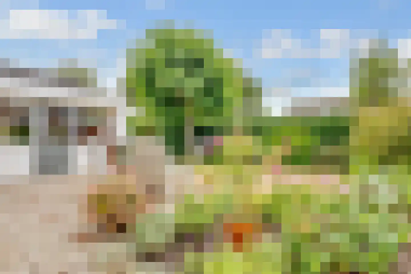 Vogelwikke 1 Maartensdijk thumbnail 43