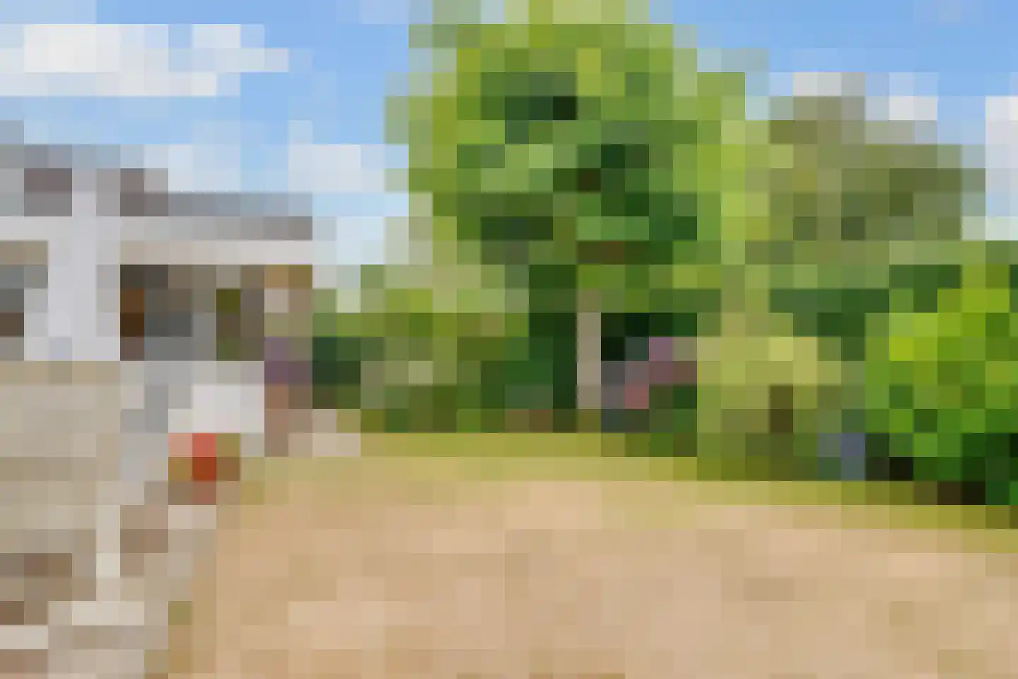 Vogelwikke 1 Maartensdijk thumbnail 44
